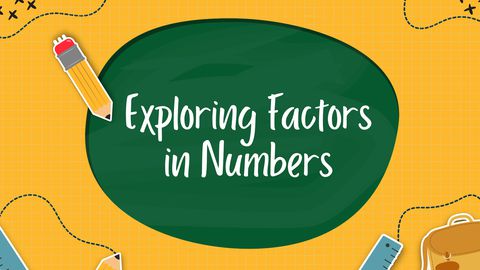 Exploring Factors in Numbers